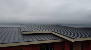 Best Roof Ventilation Installation  in Eau Claire, WI